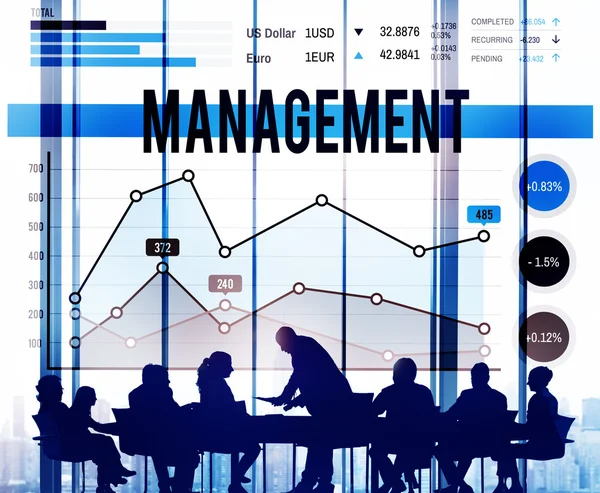 Concetto di organizzazione di gestione — Foto Stock