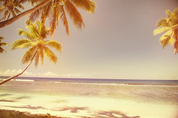 Playa de verano atardecer tropical —  Fotos de Stock