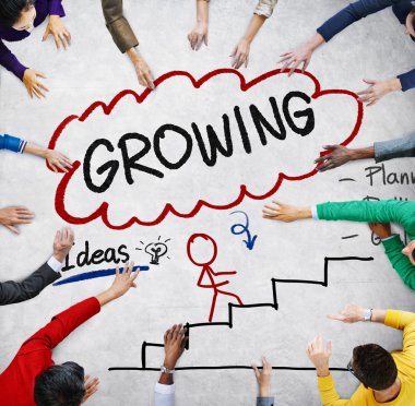 Büyüyen görev başarı kavramı