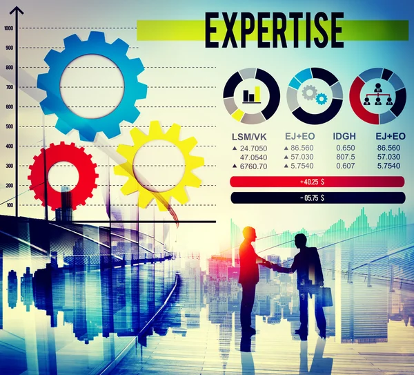 Expertise Intelligence Insight Concept — Stock Photo, Image