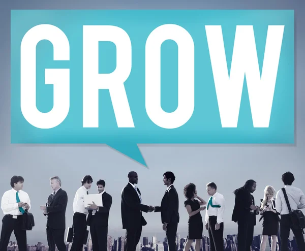 Business people e Grow Concept — Foto Stock