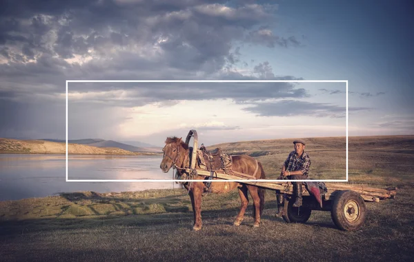 Cheval homme assis sur un chariot à cheval — Photo