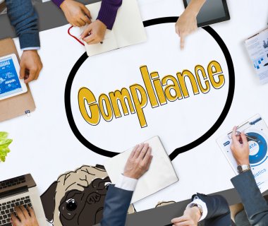 Uyum olumlama yönetmelik kavramı