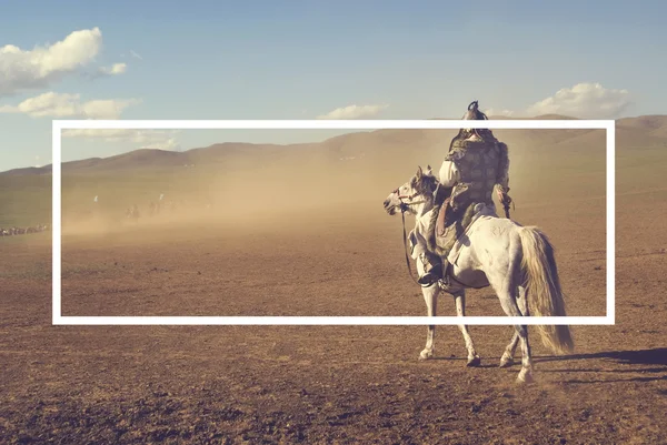 Рыцарь на коне на поле боя — стоковое фото