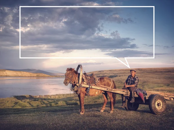 Cheval homme assis sur un chariot à cheval — Photo