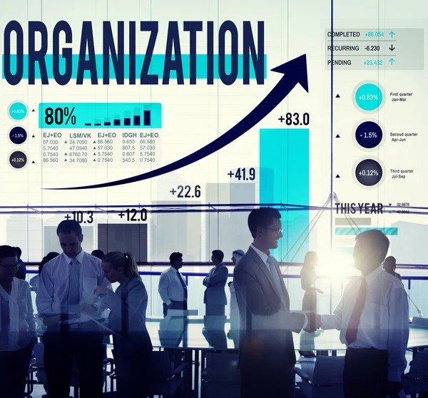 Organization Management Network Concept — Stock fotografie