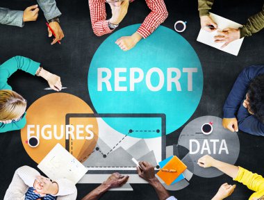 Mali rapor stratejisi kavramı