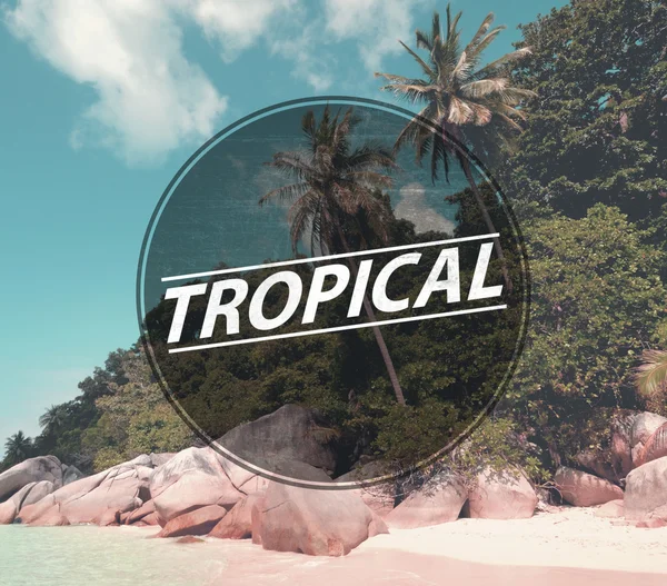 Sommer tropische Insel und Palmen — Stockfoto