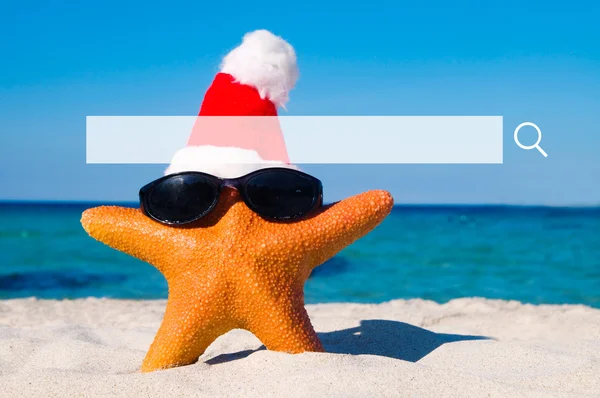 Starfish in Kerstman hoed — Stockfoto