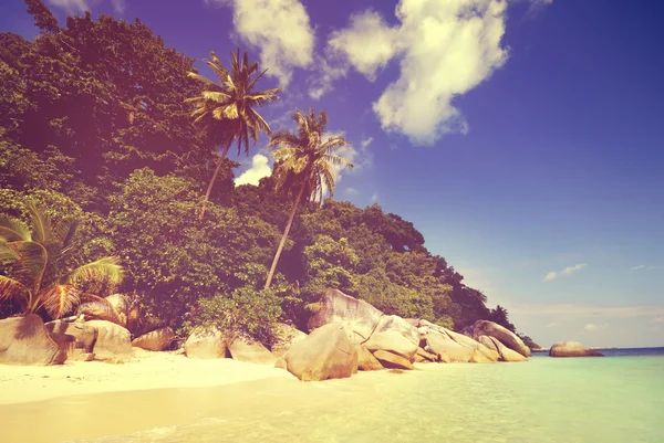 Spiaggia estiva e palme — Foto Stock