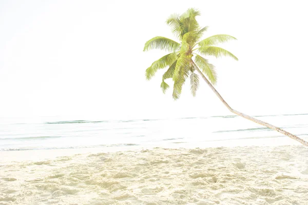 Sommer-Strandkonzept für tropische Inseln — Stockfoto