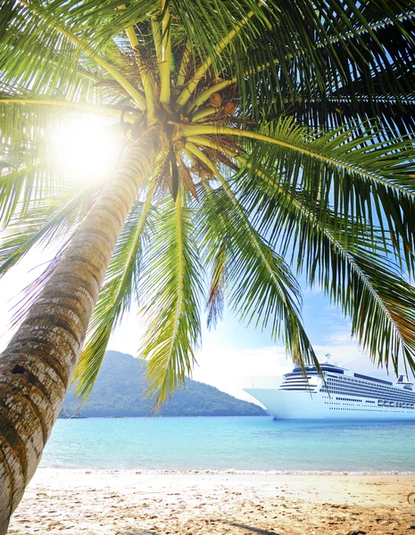 Summer Tropical Island and palms — Stock Photo, Image