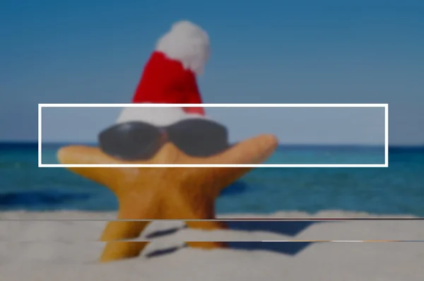 Estrella de mar en santa hat — Foto de Stock