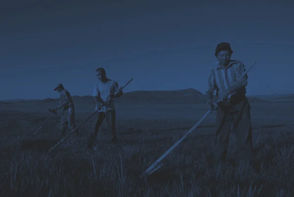 Agricultores mongoles trabajando — Foto de Stock