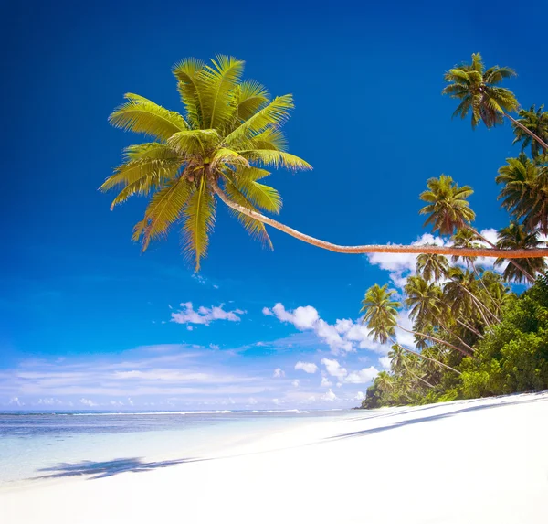 热带海滩度假村的概念 — 图库照片