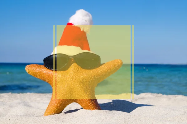 Морська зірка в капелюсі Санта — стокове фото