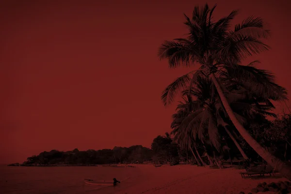 Été Tropical Island et palmiers — Photo