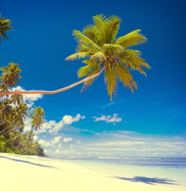 Tropical Beach Resort konsepti