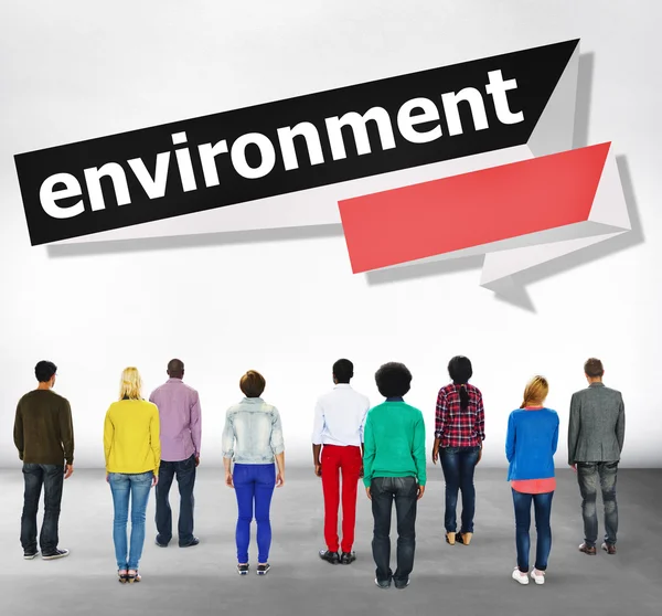 Ecología Ambiental Concepto Ambiental — Foto de Stock