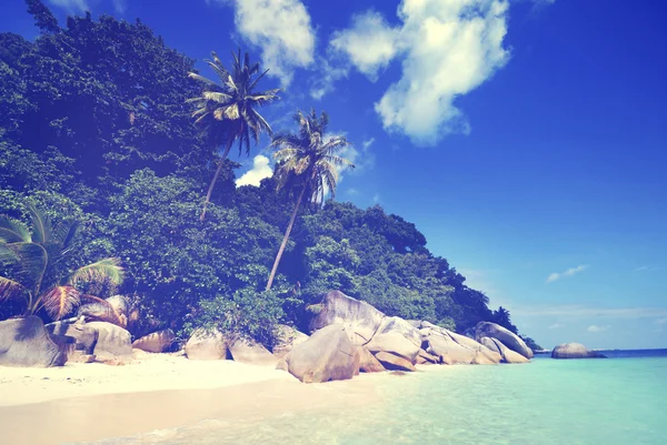Playa de verano y palmeras —  Fotos de Stock