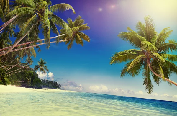 Koncepcja Tropical Paradise Beach — Zdjęcie stockowe