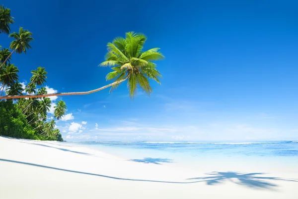 Beyaz kum plaj kavramı — Stok fotoğraf