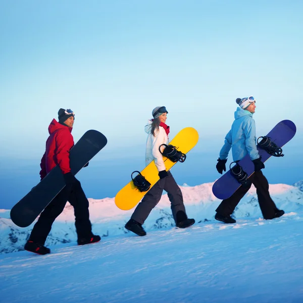 Snowboard, síelés koncepció csoportja — Stock Fotó