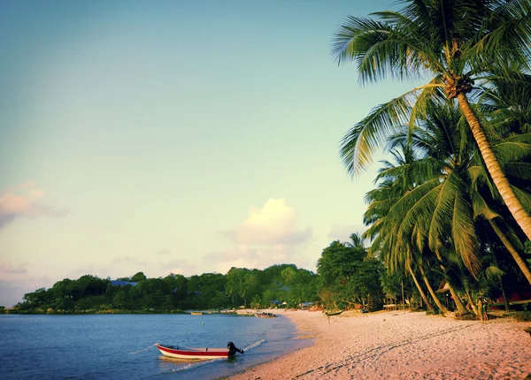 Verano Isla Tropical y palmeras —  Fotos de Stock