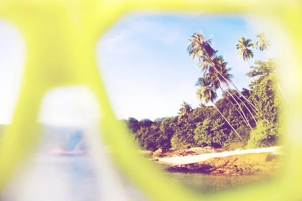 Sommerstrand und Palmen — Stockfoto