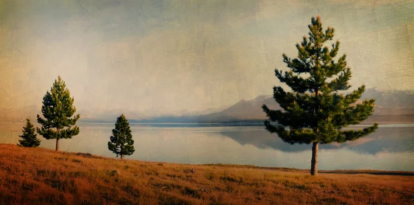 Lake Matheson med klart vatten — Stockfoto