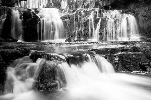 Pancake rock in Nuova Zelanda — Foto Stock