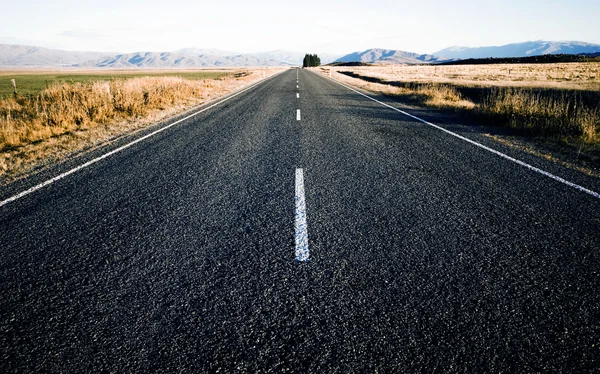 道路リード山 — ストック写真