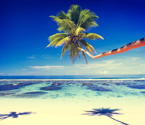 Tropisch strand Resort Concept — Stockfoto