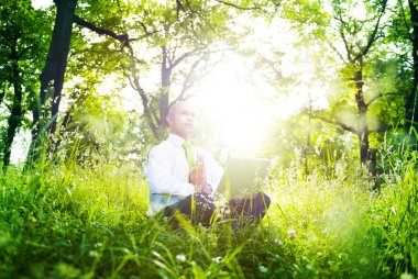 ormandaki yeşil iş