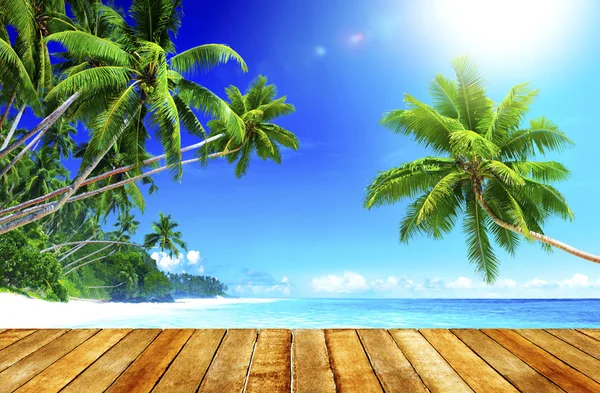 Concepto Tropical Paradise Beach — Foto de Stock