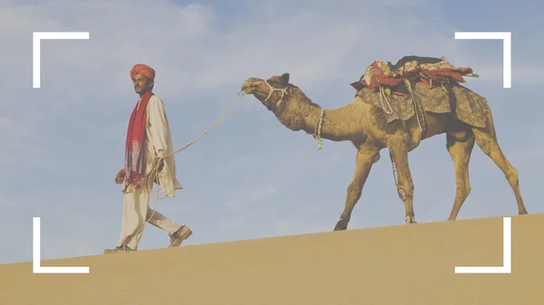 Homem com camelo no quadro de foco — Fotografia de Stock