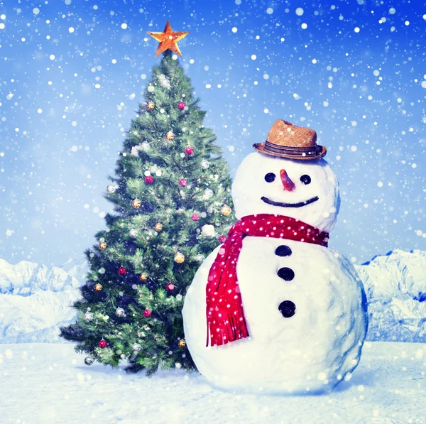 Christmas funny Snowman — Stock Photo, Image