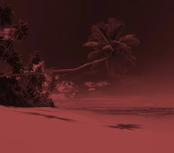Nyári paradicsoma Seascape koncepció — Stock Fotó