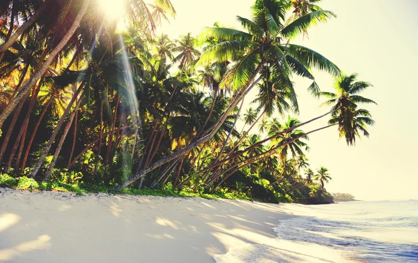 Spiaggia tropicale Concetto di natura — Foto Stock