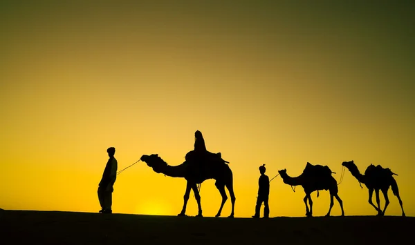 Uomini a cavallo Cammelli nel deserto — Foto Stock