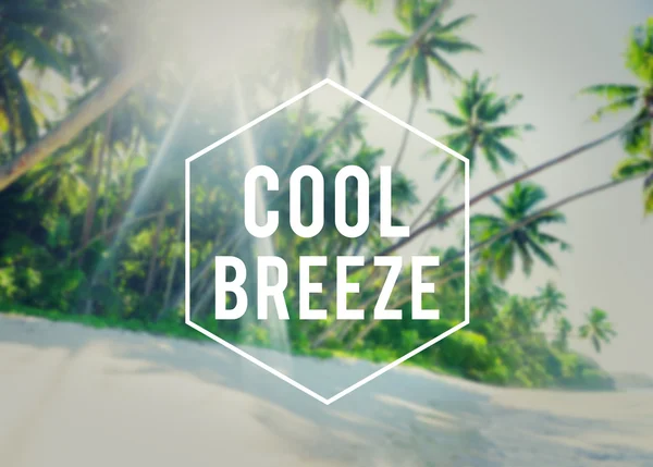 Cool Breeze Concepto de Libertad de Verano —  Fotos de Stock