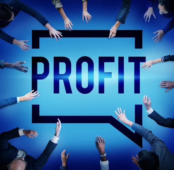 Profit Budget Finance  Concept — Stock Photo, Image