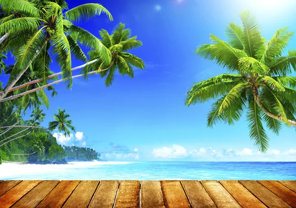 Tropikal Cennet plaj kavramı