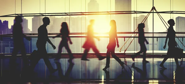 Business workers Silhouettes — Stock Photo, Image