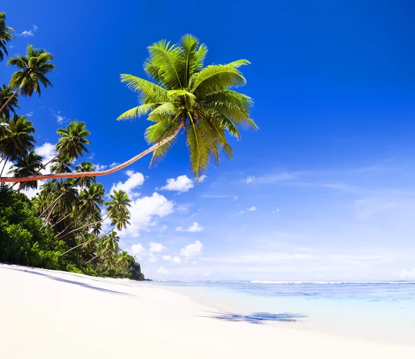 Koncepcja Seascape letni raj! — Zdjęcie stockowe