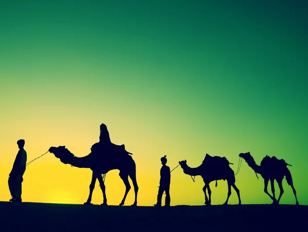 Homens montando camelos no deserto — Fotografia de Stock