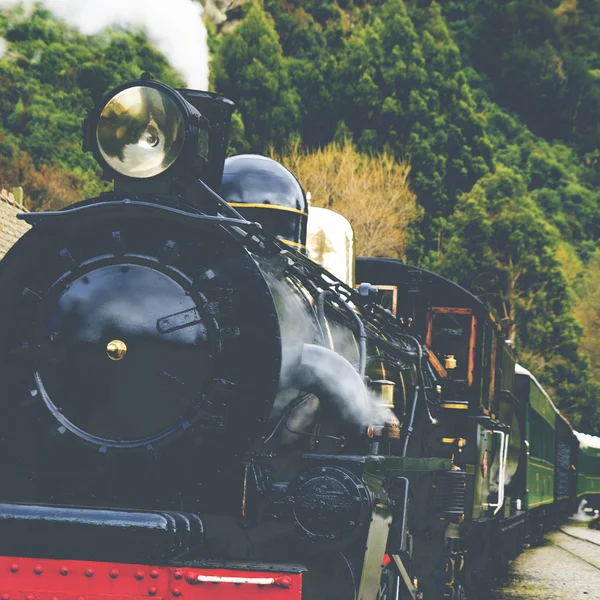 Tren de vapor Campo Ferrocarril — Foto de Stock