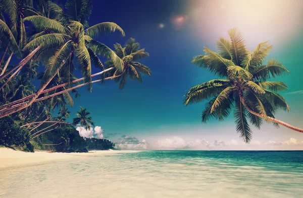 Tropisch paradijs strand Concept — Stockfoto