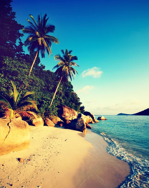 Malaysian stranden på sommaren — Stockfoto