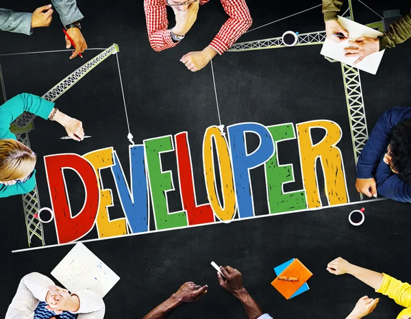 Developer Skill Mangement Concept — Stock Photo, Image